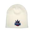 Load image into Gallery viewer, Original RAB Logo Beanie - White/Blue