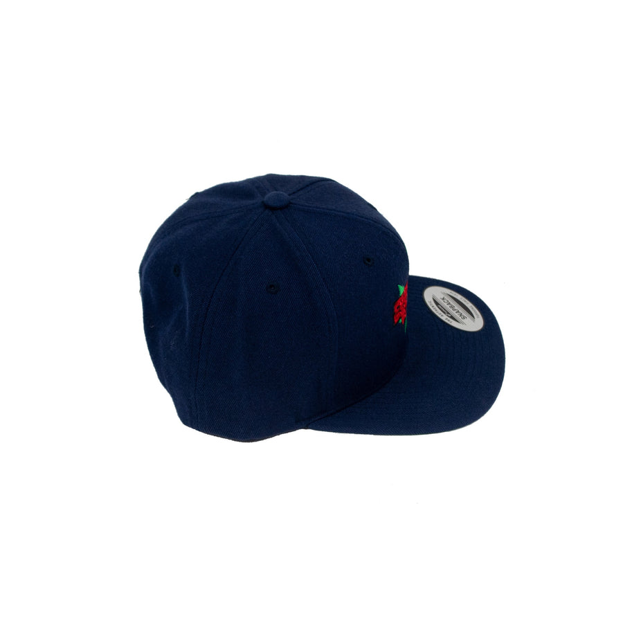 RAB Leaf SnapBack Hat - Navy